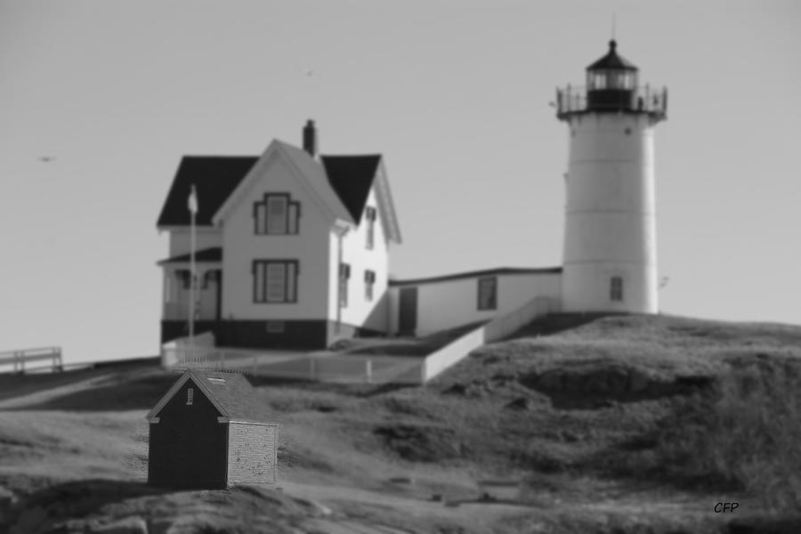 Nubble In Black and White Photograph by Becca Wilcox