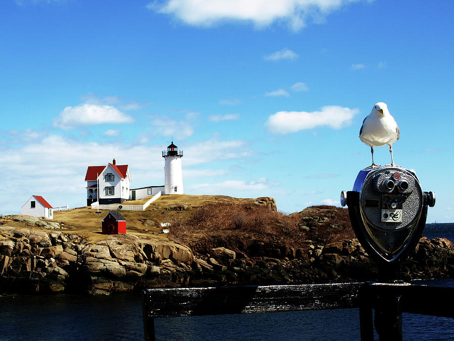 Nubble Light House Photograph by Mary Capriole