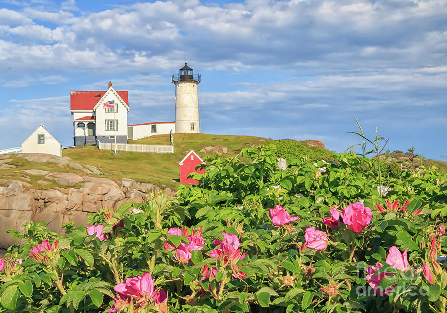 Nubble Lighthouse York Maine Photograph by Elizabeth Dow