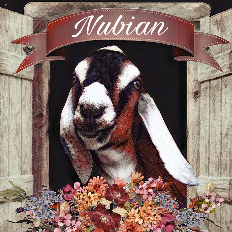Nubian Goat Design Painting