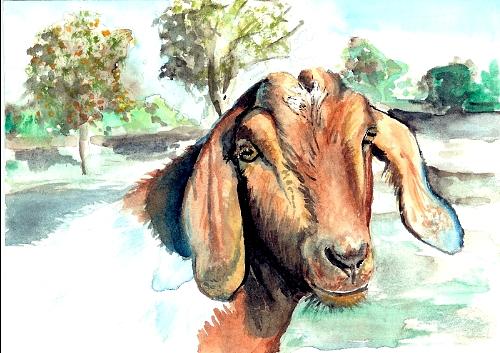 Goat Painting - Nuby by Lisa Bruder