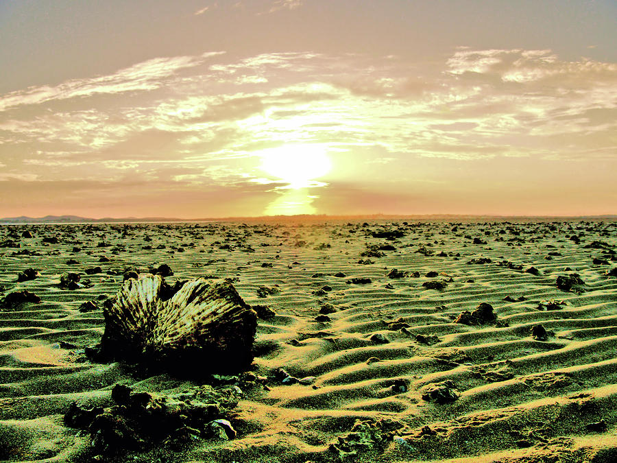 Nuclear Desert Photograph by Michael Blaine