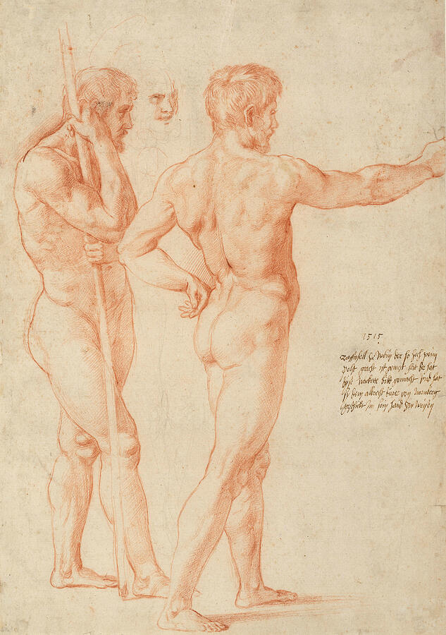 Raphael Drawing - Nude Studies, from 1515 by Raphael