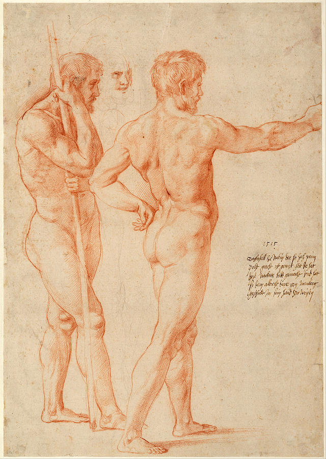 Raphael Drawing - Nude Studies by Raphael