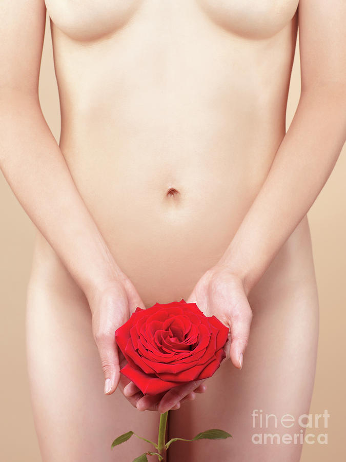 Nude Woman with a Red Rose Photograph by Maxim Images Exquisite Prints
