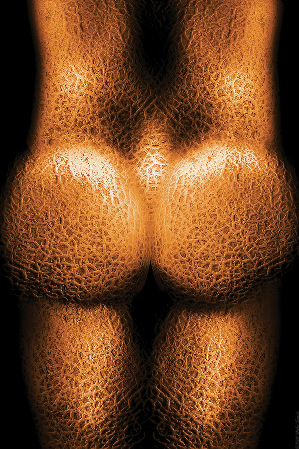 Savad Photograph - Nudist - Just Cheeky by Mike Savad