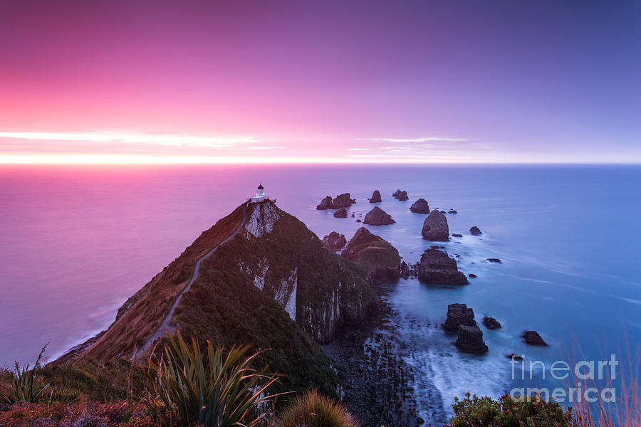 Nugget point lighthouse at dawn - New Zealand Photograph by Matteo Colombo