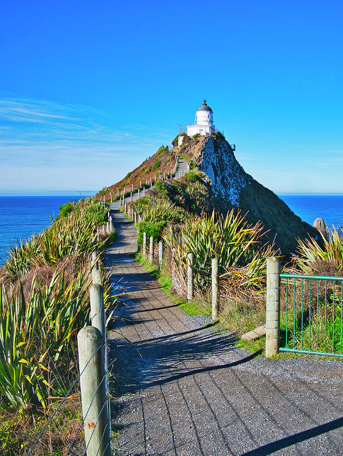 Nugget Point Lighthouse - Catlins - New Zealand Photograph by Steven Ralser
