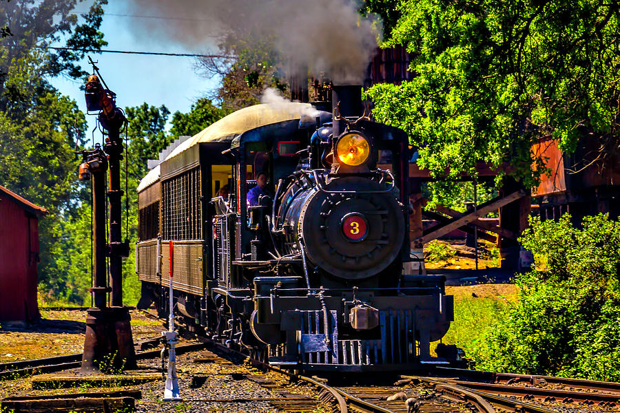Number Three Pulling Passenger Cars Photograph by Garry Gay
