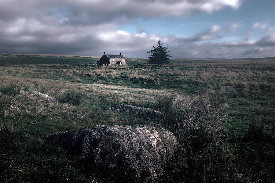 Nature Photograph - Nuns Cross Farm - Dartmoor by Joana Kruse