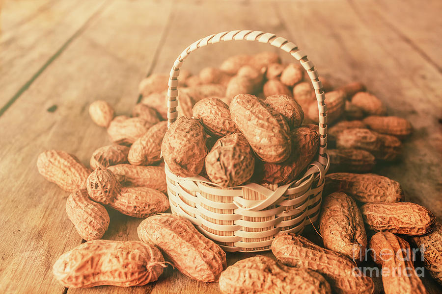Nut basket case Photograph by Jorgo Photography