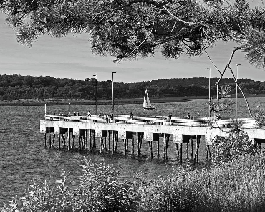 Nut Island Pier Quincy MA Black and White Photograph by Toby McGuire