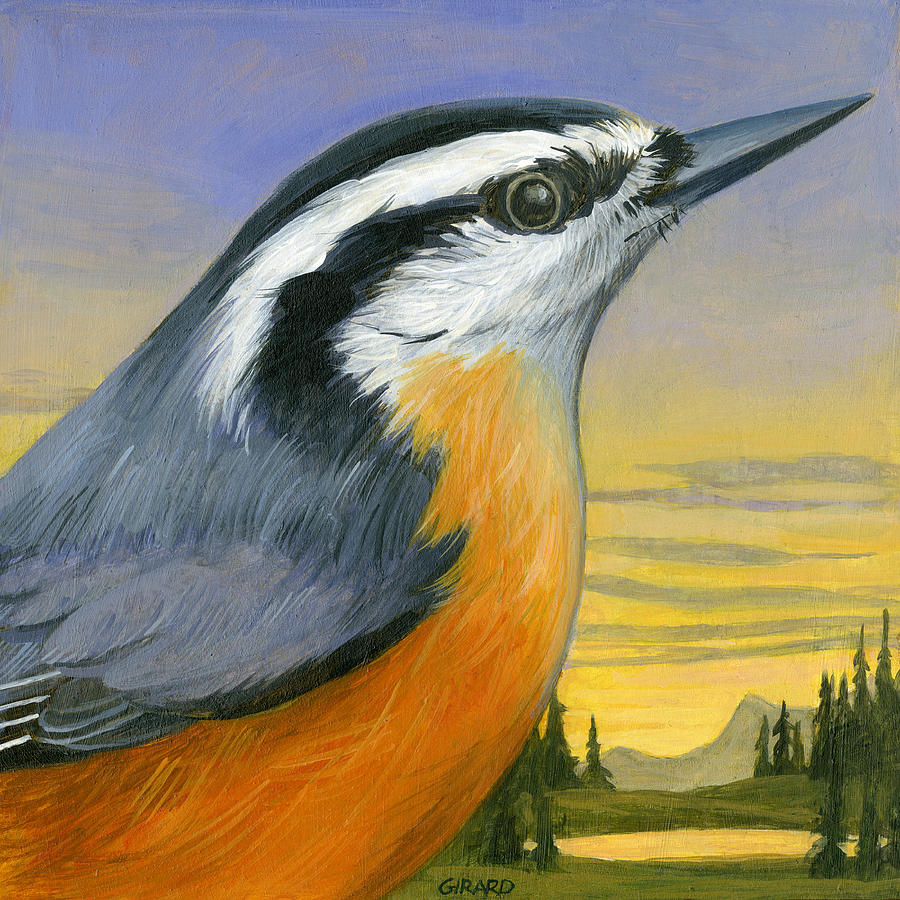Bird Painting - Nuthatch by Francois Girard