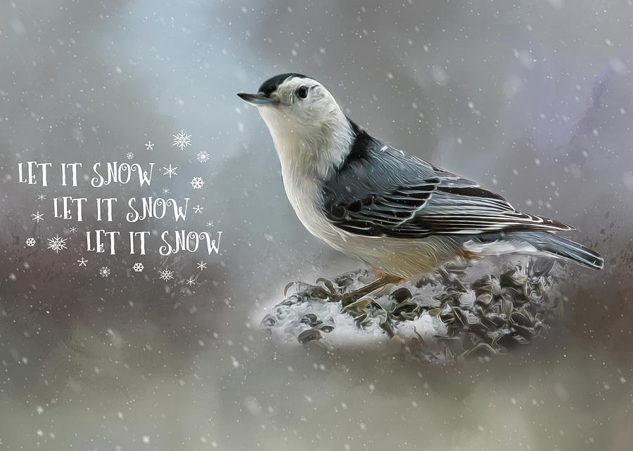Nuthatch in Winter Holiday Card Photograph by Cathy Kovarik