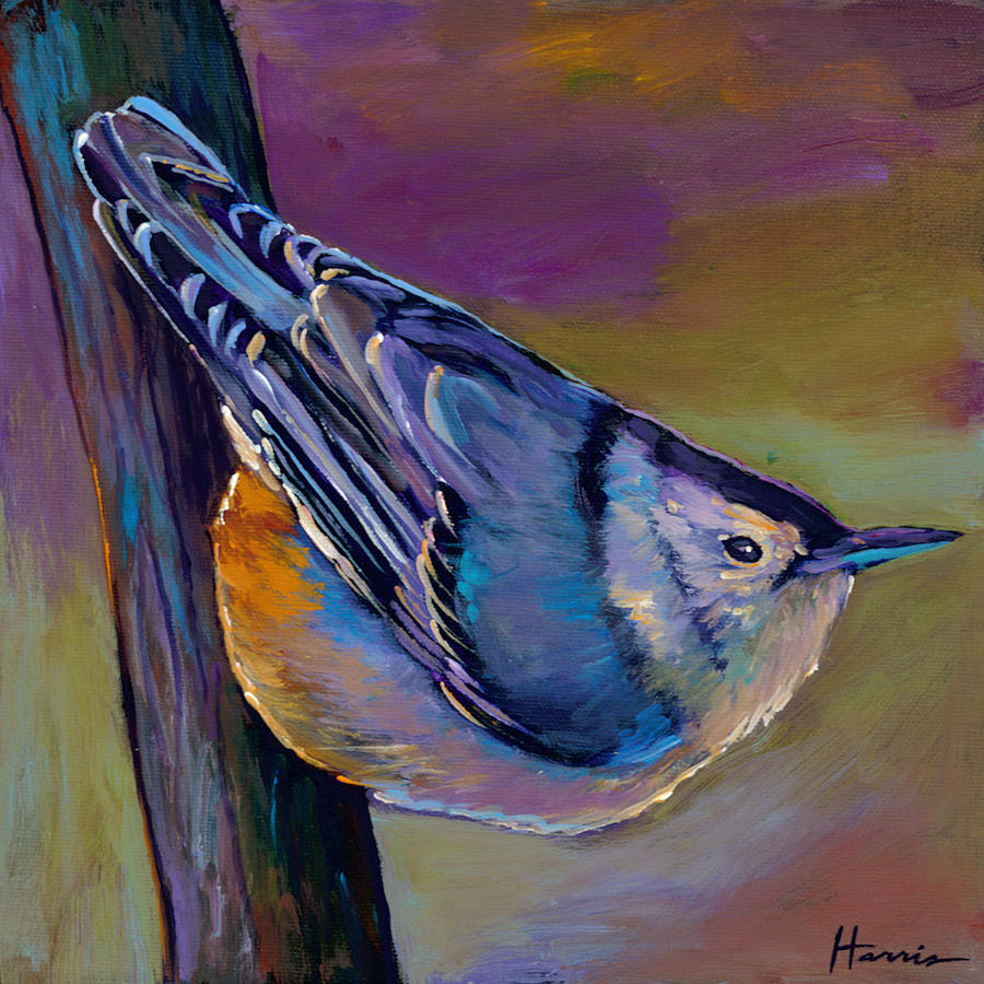 Wildlife Painting - Nuthatch by Johnathan Harris