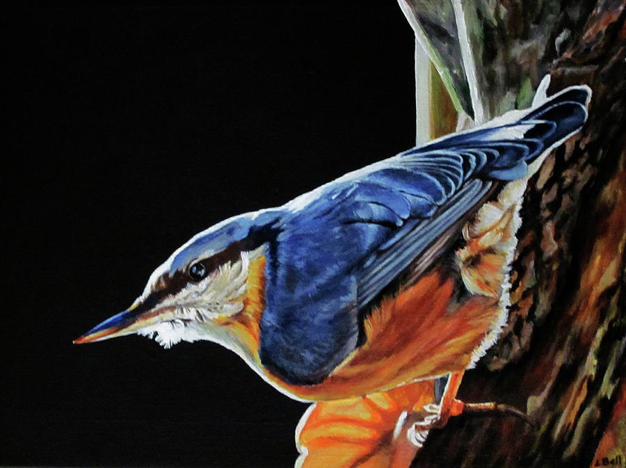 Wildlife Painting - Nuthatch by Lillian  Bell