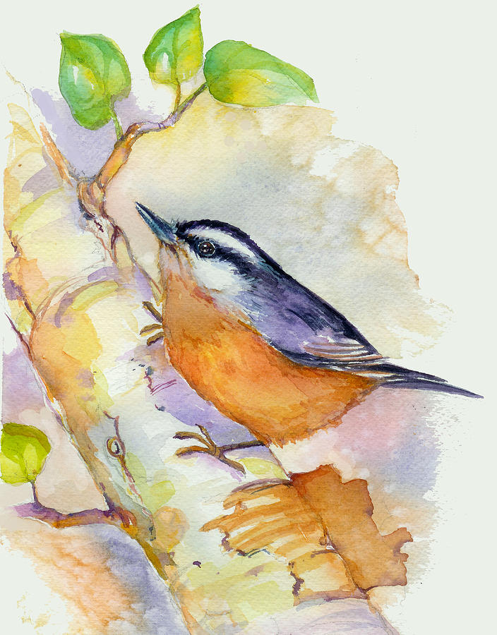 Bird Painting - Nuthatch by Peggy Wilson
