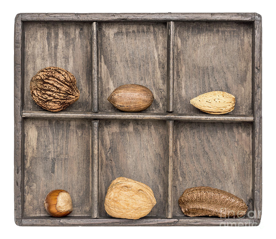 Nuts In Rustic Wooden Shadow Box Photograph by Marek Uliasz