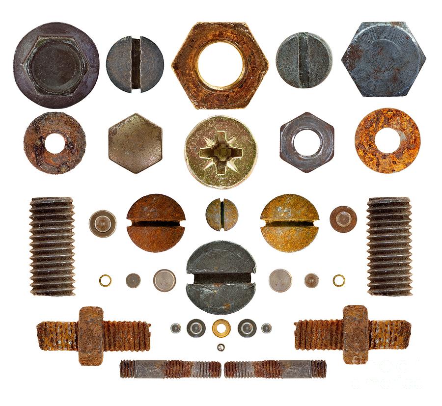 Nuts, rivets, bolt heads and screws on transparent background Photograph by Michal Boubin