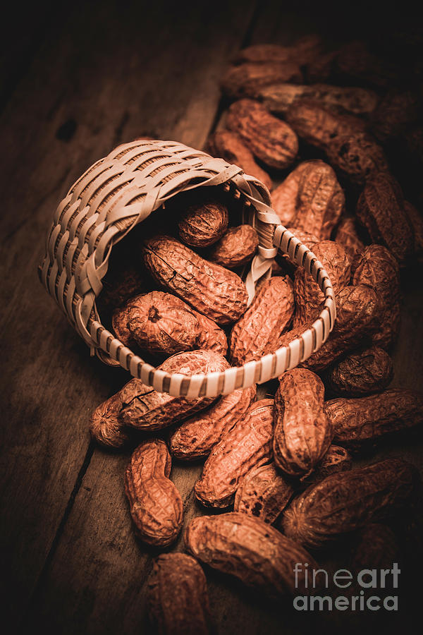 Still Life Photograph - Nuts still life food photography by Jorgo Photography