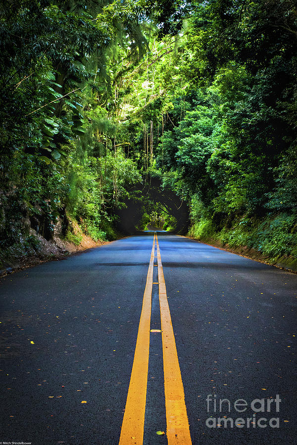 Nuuanu Pali Drive Photograph by Mitch Shindelbower