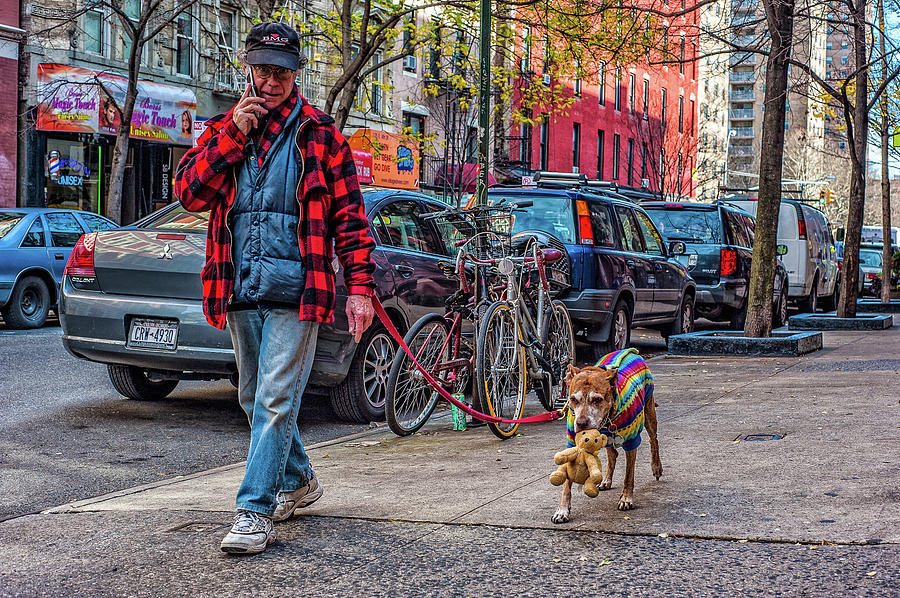 NY Dog Walk Photograph by Ed Broberg