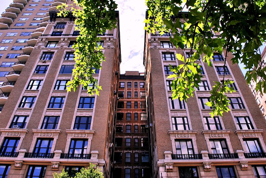 City Photograph - NYC Building With Tree Overhang by Matt Quest