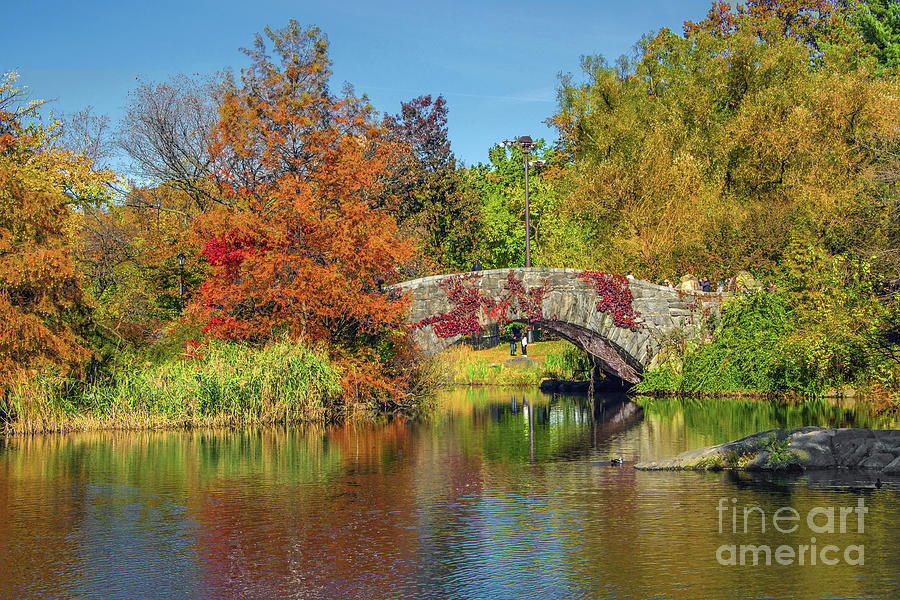 NYC Gapstow Bridge Autumn Colors Photograph by Regina Geoghan - Fine ...