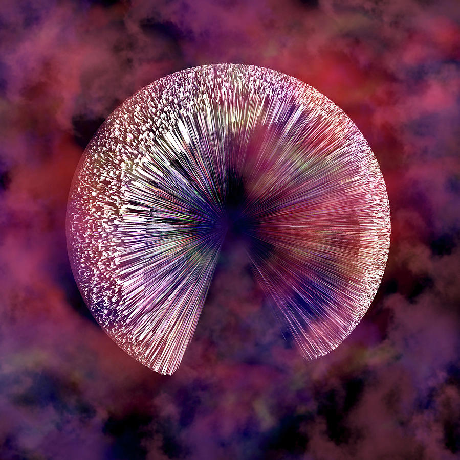 Nyc Digital Art - Nyc Iris by Betsy Knapp Nyc Digital Art - Nyc Iris by Betsy Knapp