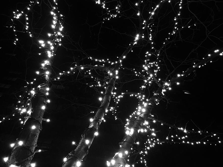 Nyc Nightime Holiday Lights Photograph