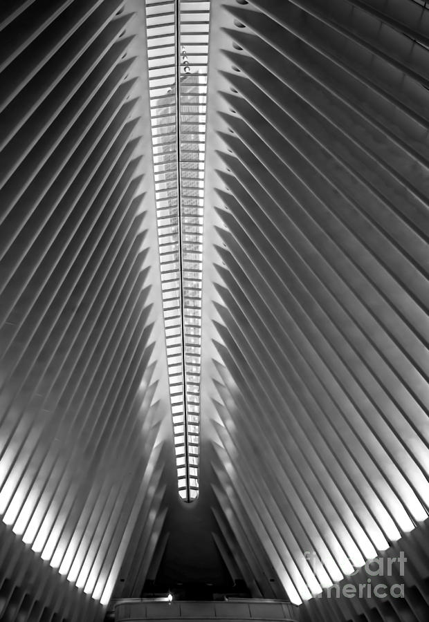 NYC Oculus and 1 WTC - BW Photograph by James Aiken