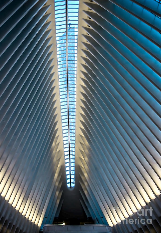 NYC Oculus and 1 WTC Photograph by James Aiken