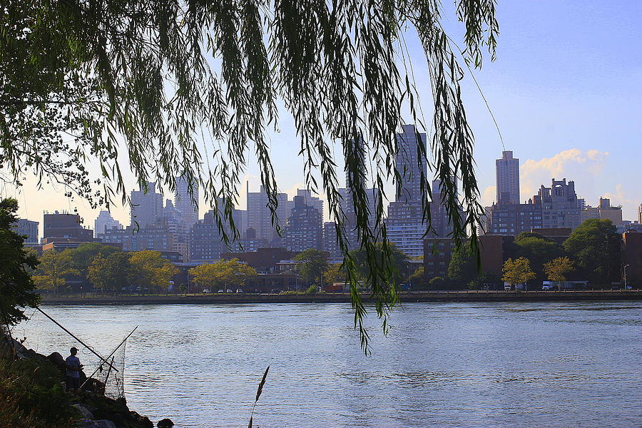 NYC Skyline- A View from Socrates  Sculpture Park Photograph by Dora Sofia Caputo
