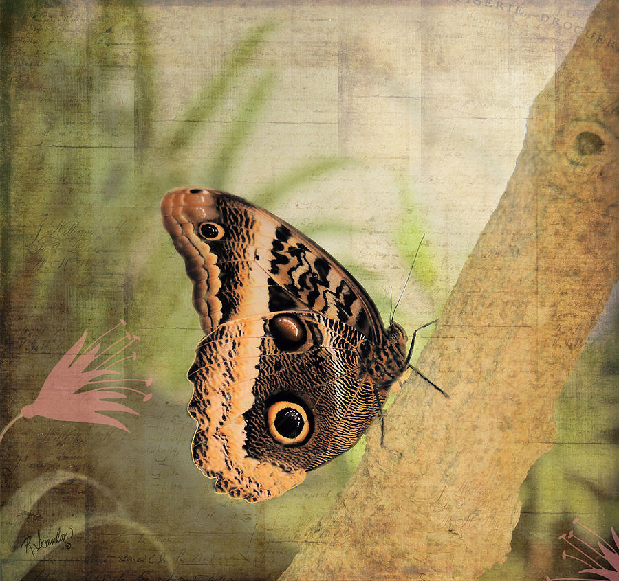Butterfly Mixed Media - Blue Morpho Butterfly Side View by Rosalie Scanlon