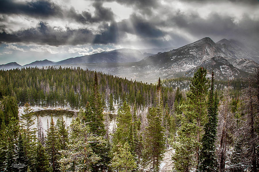 Mountain Photograph - Nymph Lake by Crystal Socha