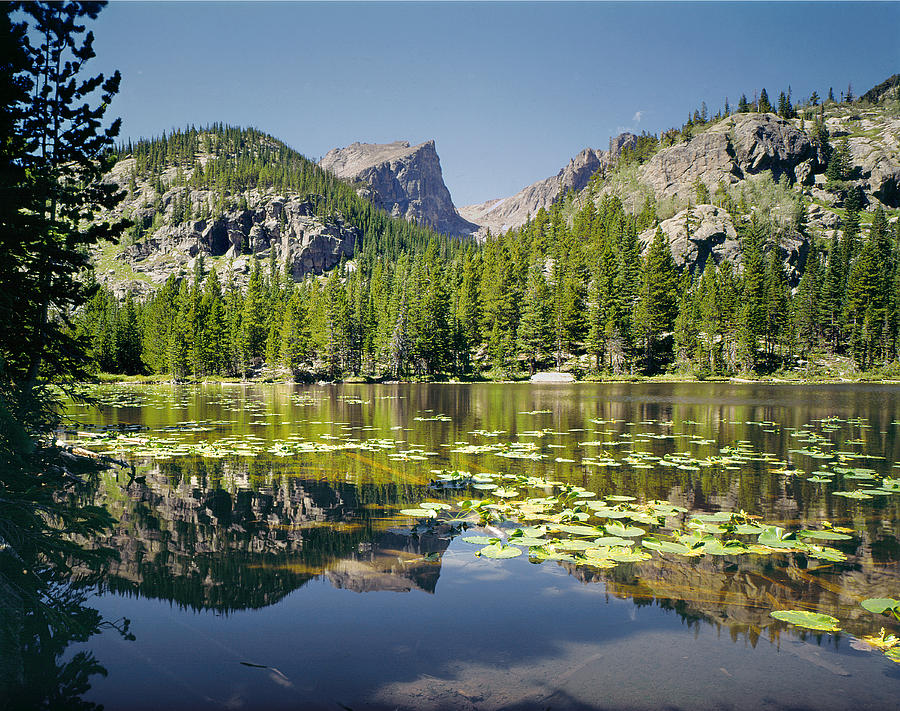 310208-Nymph Lake Hallett Peak Reflect  Photograph by Ed  Cooper Photography