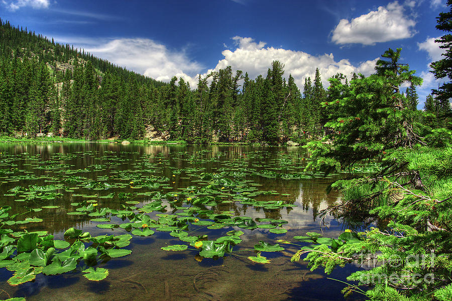 Landscape Photograph - Nymph Lake by Pete Hellmann Landscape Photograph - Nymph Lake by Pete Hellmann