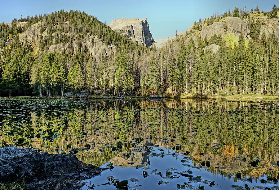 Nymph Lake Reflection Rocky Mountain National Park Photograph by Dan Sproul