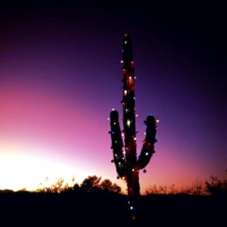 Christmas Photograph - O Christmas Saguaro  by Kevin D Davis