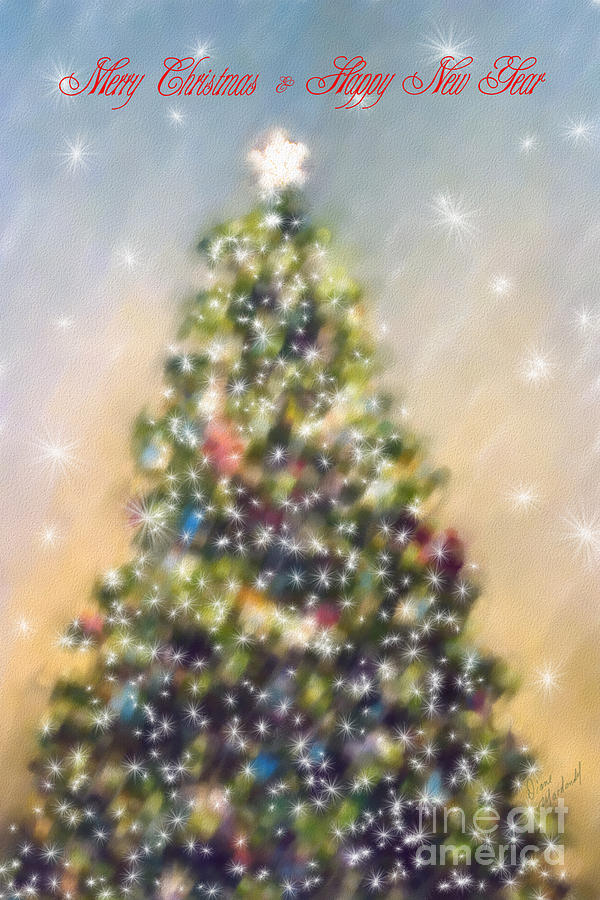 O Christmas Tree Photograph by Diane Macdonald