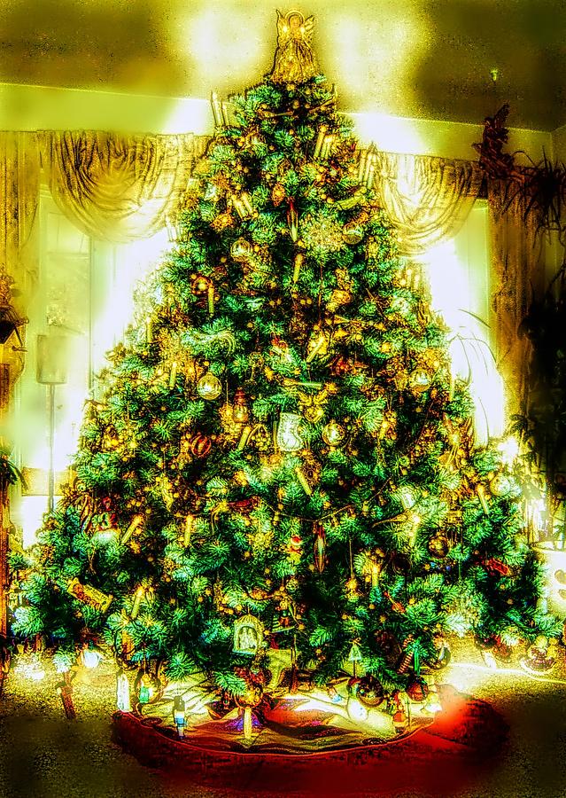 Christmas Photograph - O Christmas Tree by Jenn Beck