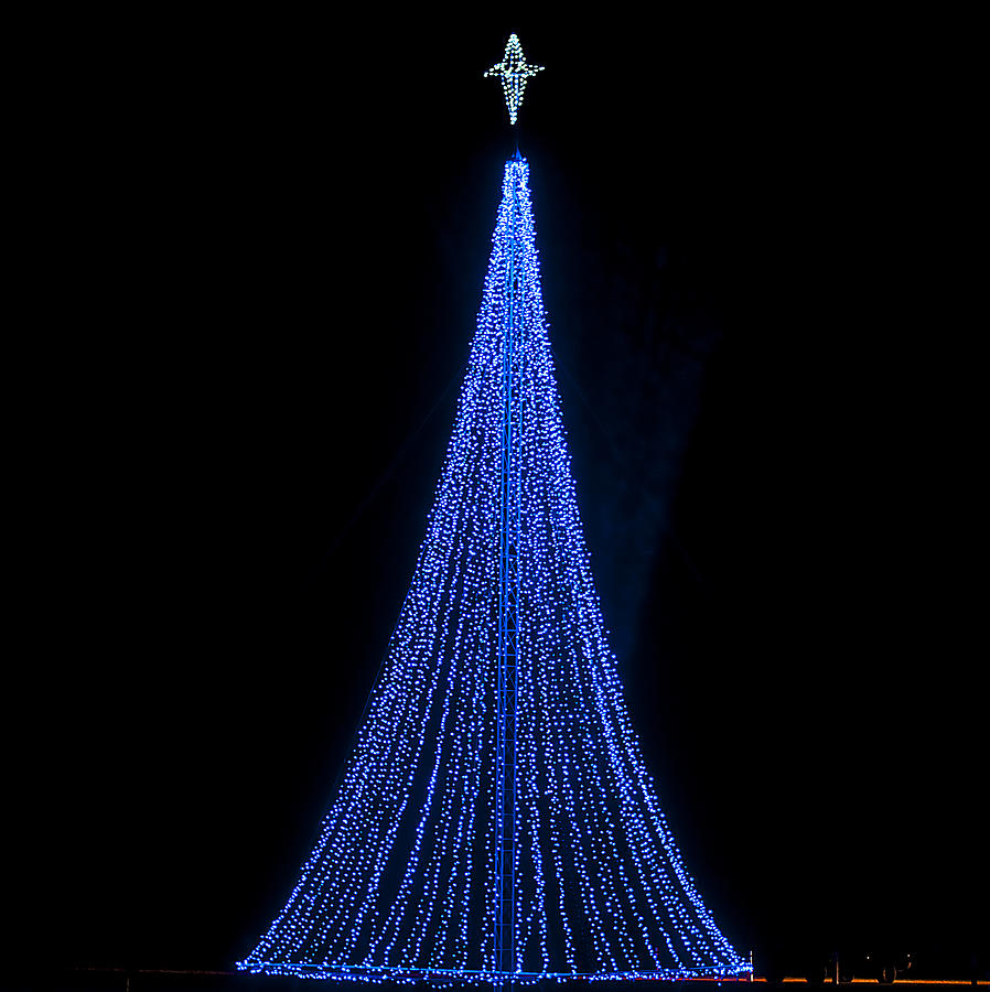 O Christmas Tree Photograph by Kenneth Albin