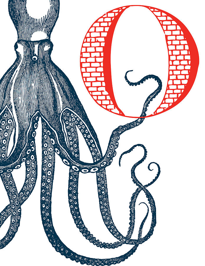 Nature Digital Art - O Octopus by Thomas Paul