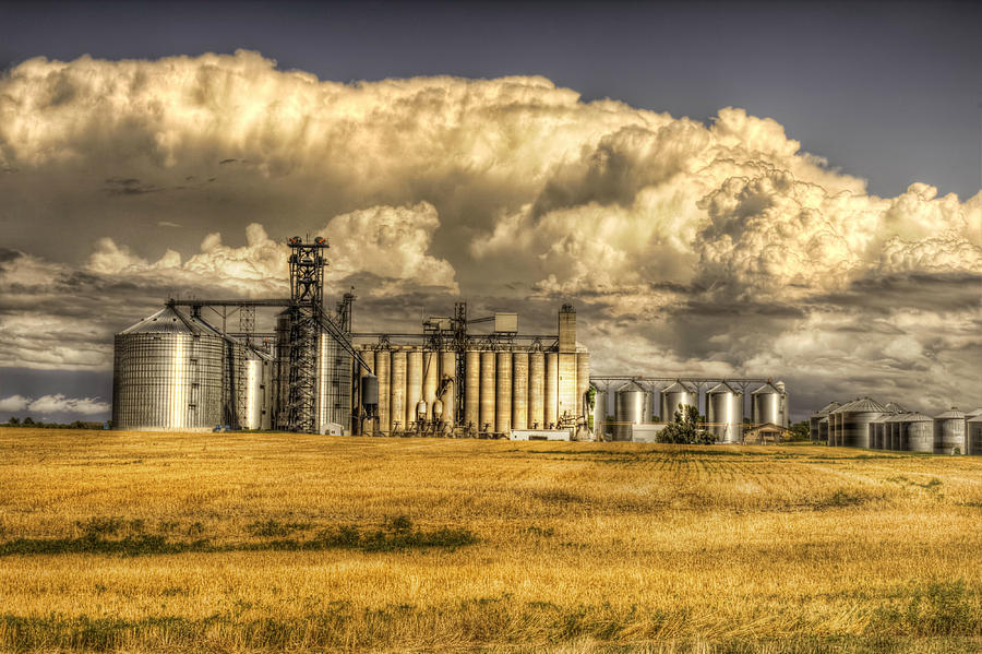 Oahe Grain by Michele Richter Oahe Grain by Michele Richter