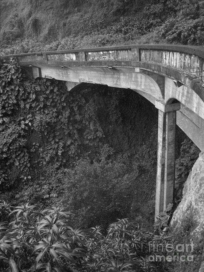 Bridge Photograph - Oahu Birdge by Tommy Anderson