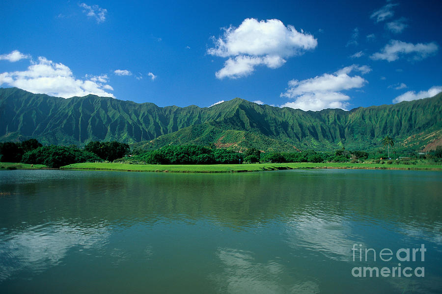 Oahu, Calm Pond Photograph by David Cornwell/First Light Pictu - Printscapes
