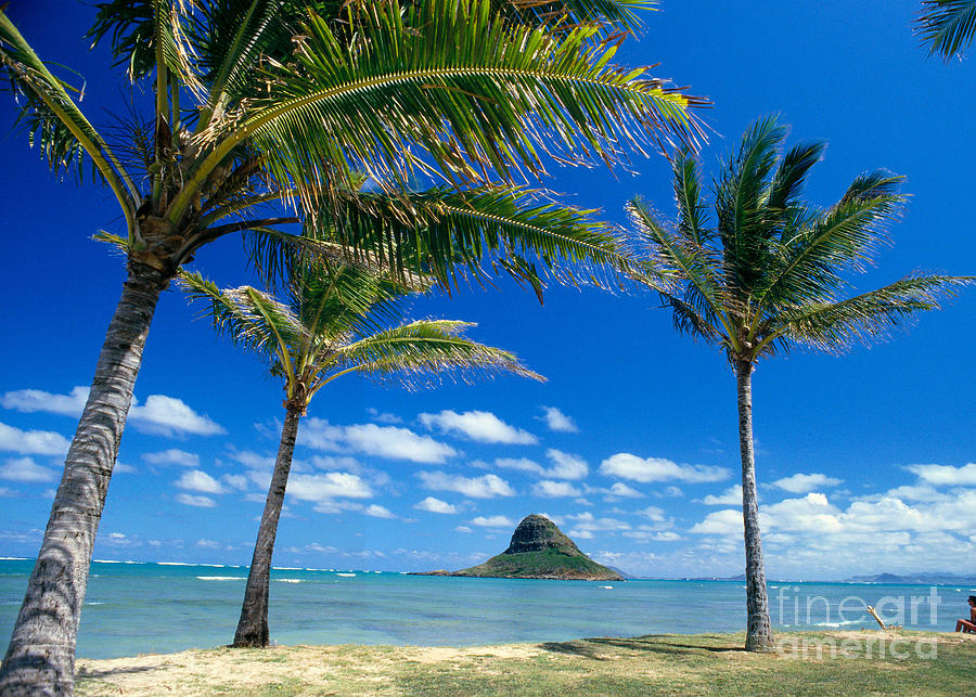 Oahu, MokoliI Island Photograph by Peter French - Printscapes
