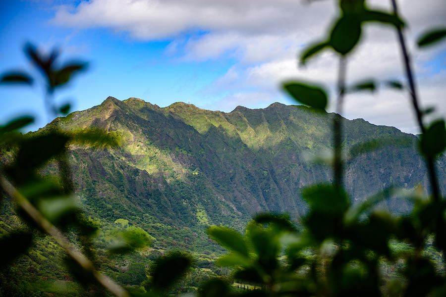 Oahu Mountain View Photograph by Michael Scott