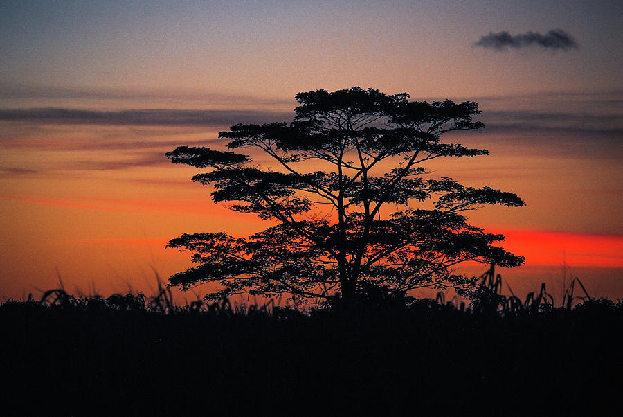 Sunset Photograph - Oahu Upcountry Sunsets by Megan Martens