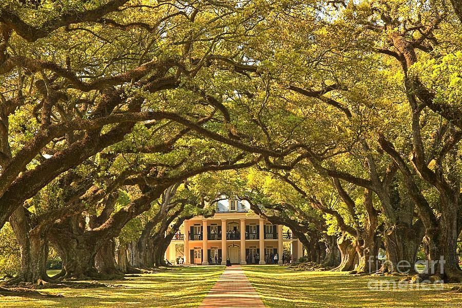 Oak Alley Plantation House Photograph by Adam Jewell
